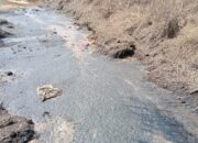 PKS- BPK di Duga Sengaja Buang Limbah di Area Kebun,Cemari Lingkungan dan Timbulkan Bau Busuk.