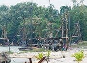 Ekosistem Kolong Buntu Sungailiat Terancam Akibat Penambangan Timah Ilegal