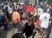 Tabrak Pengendara Motor, Polisi Bekuk Driver Truk Yang Berupaya Kabur