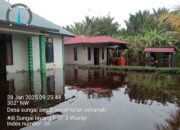 Banjir Parah Rendam Puluhan Rumah di Desa Sungai Segak, Aktivitas Warga Lumpuh
