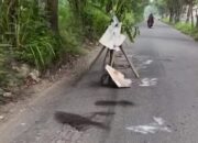 Warga Tanam Pohon Pisang di Jalan Akibat Jalan Tidak Segera Diperbaiki