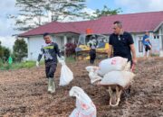 Kapolres Melawi Turun langsung Pantau Kesiapan Lahan.