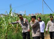 Wakapolda Kalbar Ke Melawi,Lakukan Cek Lahan Pertanian Menjelang Panen Raya