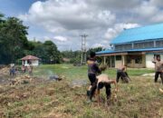 Polsek Mukok Galakkan Ketahanan Pangan, Buka Lahan dan Produksi Pupuk untuk Penanaman Jagung Hibrida