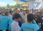 Panen Raya Jagung Bengkayang: Langkah Menuju Swasembada Pangan Nasional