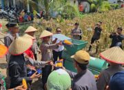 Kubu Raya Ikut Sukseskan Panen Raya Jagung Nasional, Presiden Prabowo Apresiasi Peran Polri dan Petani