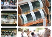 Gagalkan Penyelundupan 173 Burung, BKHIT Kalbar Selamatkan Satwa Dilindungi di Pelabuhan Pontianak