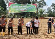 Polres Sarolangun Tanam Jagung Serentak Kuartal III, Ini Tujuannya.