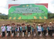 Dukung Ketahanan Pangan Nasional, Polda Kalbar Gelar Penanaman Jagung Serentak Kuartal III di Lahan Hutan Sosial