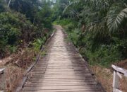Jembatan Berona Rusak Masyarakat Pecngguna Jalan Mulai Resah