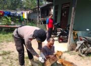 Vaksinasi Rabies Digelar di Kecamatan Sekayam, Ratusan Hewan Peliharaan Jadi Sasaran