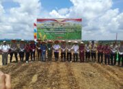 Polres Sanggau Tanam Jagung Serentak, Dukung Gerakan Nasional Swasembada Pangan 2025