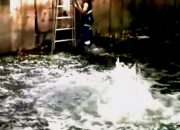 Semburan 1 meter di Sungai Bon Agung Gunung Anyar, Beraroma Amoniak dan Belerang