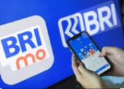 Pembayaran PDAM Bisa Lewat BRImo, Masyarakat Melawi Kian Dimudahkan