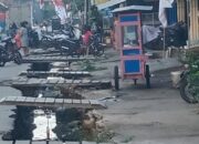 PLt.PUPR Menyebutkan Pembenahan Saluran Air di Sekitar Taman Arongk Belopa hingga Pasar Sentral.