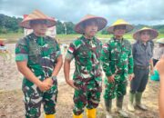 TNI Bersama Masyarakat Tanam Padi Perdana di Desa Lape, Dorong Ketahanan Pangan Nasional