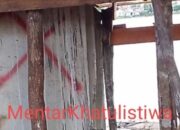 Kontras Mencolok! Proyek Tebing Sungai Melawi Dinyatakan Selesai & Dibayar Penuh, Media Temukan Belum Rampung