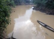 PETI Diduga “Kebal Hukum”, Warga Balai Tinggi Sanggau Krisis Air Bersih