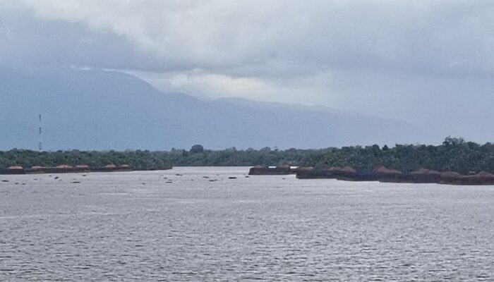 Tongkang Bauksit Tambat di Muara Teluk Melano: UPP Teluk Batang Tegaskan Aturan, Masyarakat Minta Tindakan Tegas