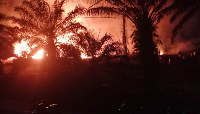 Respons Cepat Polisi dan Damkar Jinakkan Api di Lahan Kering Meliau