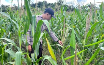 Sinergi Polisi dan Petani di Bonti Dorong Keberhasilan Program Ketahanan Pangan