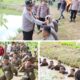 Langsung Dipimpin Kapolres, Personel Baru Polres Melawi Diuji Mental dan Disiplin Lewat Bintradisi