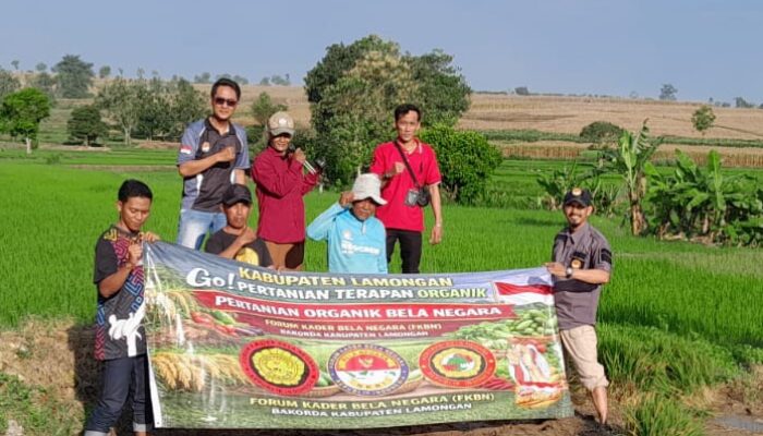 Terapan Organik Bela Negara FKBN Buat PH Tanah Normal, Petani Hasil Melimpah dan Bebas Hama Penyakit.