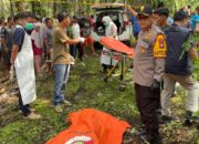 Polres Bangka Barat Selidiki Penemuan Jenazah Pria di Perkebunan Sawit