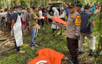 Polres Bangka Barat Selidiki Penemuan Jenazah Pria di Perkebunan Sawit