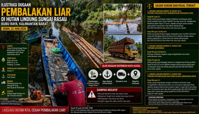 Aparat Diminta Turun Tangan, Dugaan Pembalakan Liar di Hutan Lindung Sungai Rasau Kembali Mencuat
