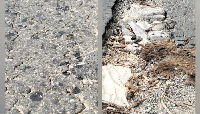 Proyek Jalan Miliaran Rupiah di Melawi Diduga Alami Penurunan Mutu, LIBAS Soroti Potensi Kerugian Negara