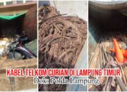 Terbongkarnya Dugaan Pencurian Kabel PT Telkom, Berawal dari Temuan Tim PPWI di Lampung Timur
