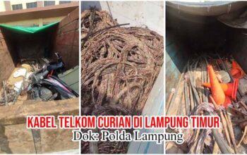 Terbongkarnya Dugaan Pencurian Kabel PT Telkom, Berawal dari Temuan Tim PPWI di Lampung Timur