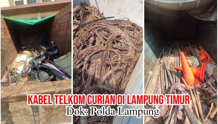 Terbongkarnya Dugaan Pencurian Kabel PT Telkom, Berawal dari Temuan Tim PPWI di Lampung Timur