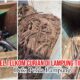 Terbongkarnya Dugaan Pencurian Kabel PT Telkom, Berawal dari Temuan Tim PPWI di Lampung Timur