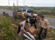 Respons Cepat Polres Bangka Barat Tangani Kecelakaan Tunggal di Simpang Teritip, Korban Langsung Dievakuasi