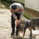 Polres Bengkayang Terima Anjing Pelacak K-9, Siap Perkuat Pemberantasan Narkotika