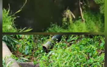Kades Binjai Soroti Dugaan Pembuangan Limbah PT SBW ke Sungai Lape, Minta DLH Bertindak Tegas
