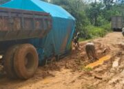Warga Desa Kerangas Mendambakan Jalan Layak: Akses Satu-satunya Penghubung Terus Berlumput, Menghambat Ekonomi dan Pelayanan Kesehatan