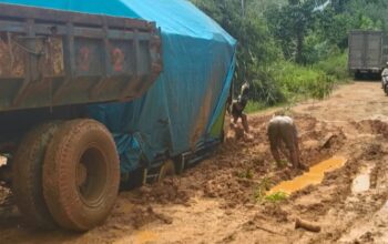 Warga Desa Kerangas Mendambakan Jalan Layak: Akses Satu-satunya Penghubung Terus Berlumput, Menghambat Ekonomi dan Pelayanan Kesehatan