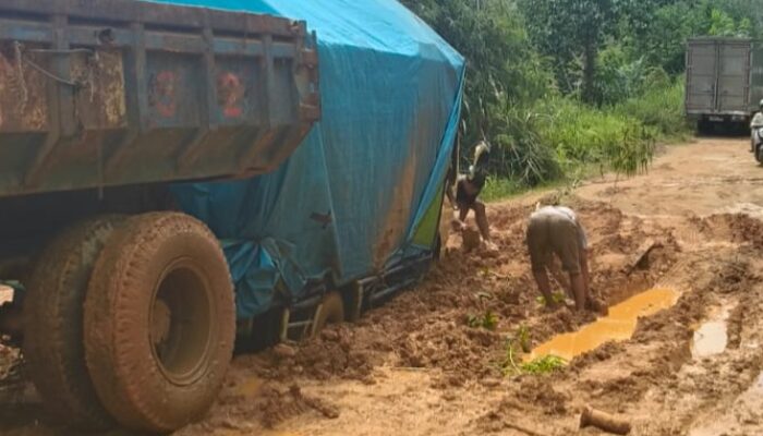 Warga Desa Kerangas Mendambakan Jalan Layak: Akses Satu-satunya Penghubung Terus Berlumput, Menghambat Ekonomi dan Pelayanan Kesehatan