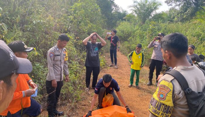 Polres Bangka Barat Selidiki Temuan Diduga Tengkorak Manusia di Jebus, Warga Diminta Tak Berspekulasi