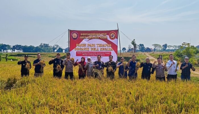 Hasil Panen Terapan Organik Bela Negara Demplot di Kelurahan Bejen Kab. Karanganyar capai 8,1 Ton per Hektar