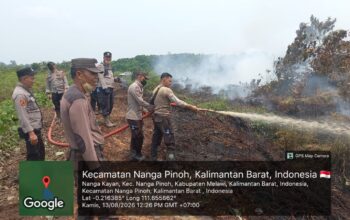 Karhutla Mengganas di Melawi, BPBD Desak Dukungan Pemadaman dari Udara