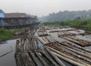 Kayu Gelondongan Kembali Muncul di Sungai Ambawang: MHI Kalbar Desak Usut Tuntas Asal-usul hingga Jaringan Kayu Ilegal